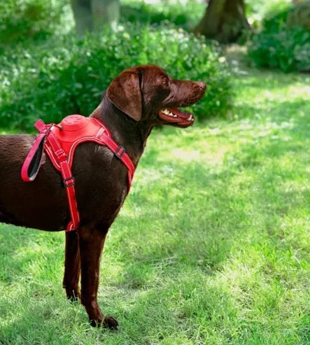 9dcacd3650a10f7c8a5e96e749f25cff