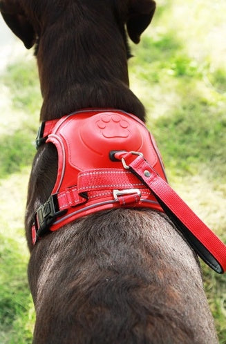 ae74bdc44b1f85f6dcbc25ea7a20984d