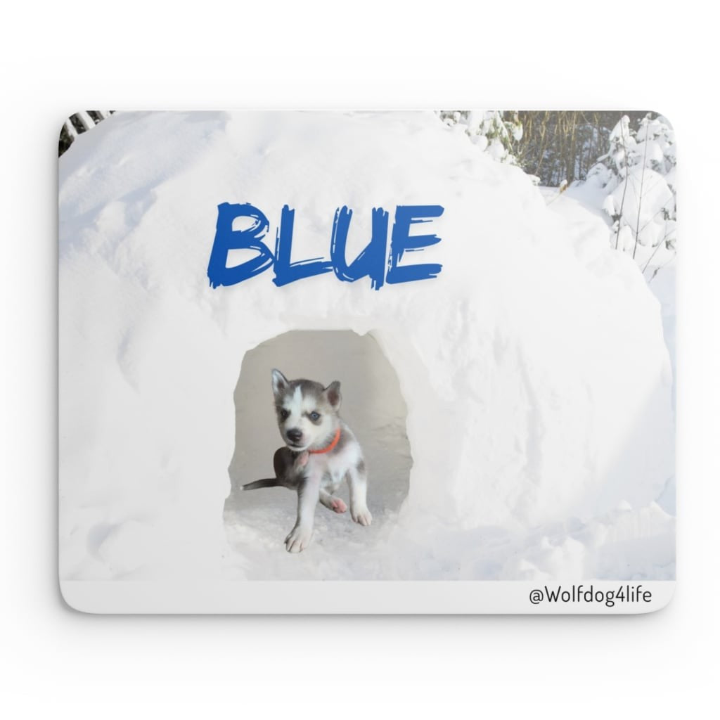 Mousepad with an image of Blue the puppy – Second Hero @wolfdog4life