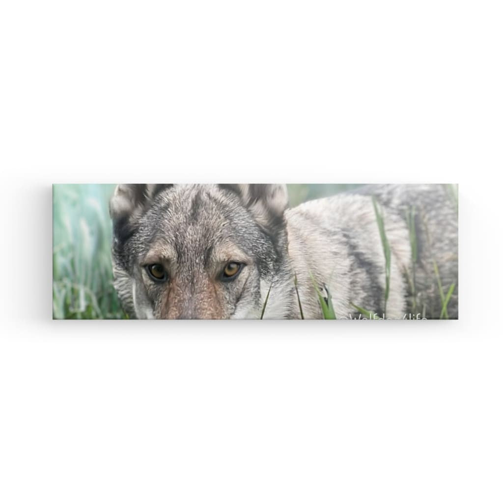 Canvas Print with the image of Askia – Edit @wolfdog4life