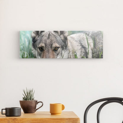 Canvas Print with the image of Askia – Edit @wolfdog4life