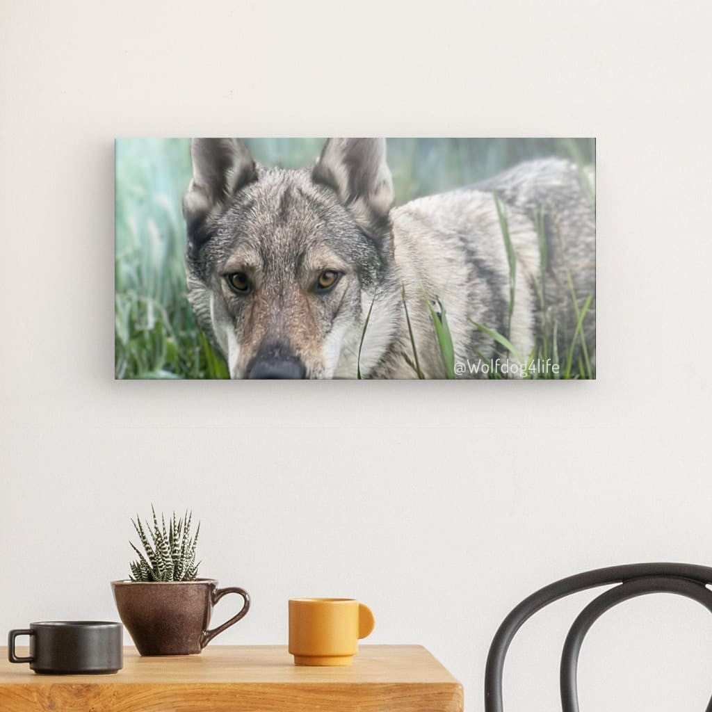 Canvas Print with the image of Askia – Edit @wolfdog4life