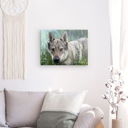 Canvas Print with the image of Askia – Edit @wolfdog4life