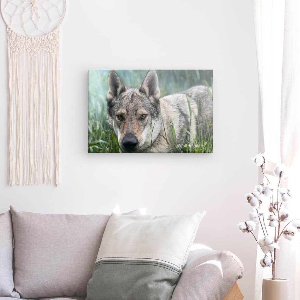 Canvas Print with the image of Askia – Edit @wolfdog4life