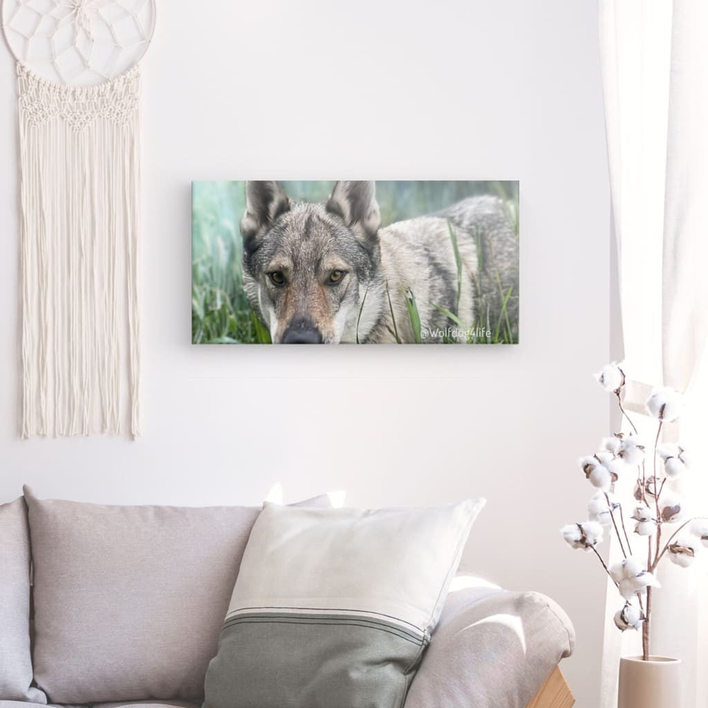 Canvas Print with the image of Askia – Edit @wolfdog4life