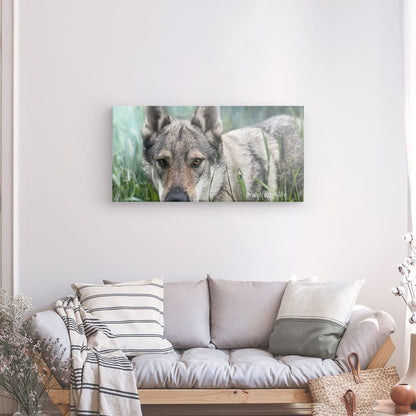 Canvas Print with the image of Askia – Edit @wolfdog4life