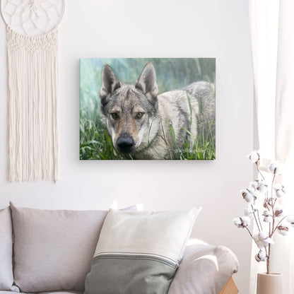 Canvas Print with the image of Askia – Edit @wolfdog4life