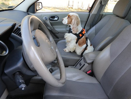 7a60794d31ea9d052d222705c9c68ab8