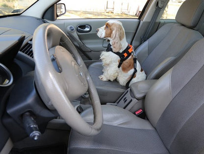 7a60794d31ea9d052d222705c9c68ab8