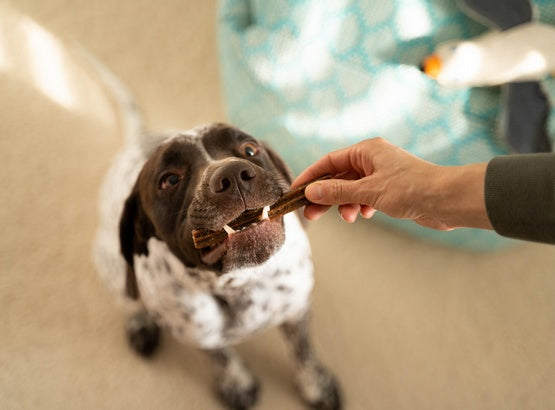 21736312e0ae5f0e48713ff8f3da810c