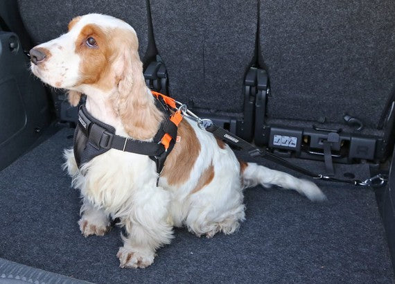 94b78a36c9b50442dddc530d5b2d1837