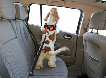 a5df03202fce07650f5c0e1a475ad5ea