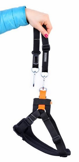 f2dc90f40d5fd01668542339c3883f8e