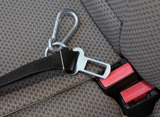 e9f77fe40231b234337ac5dbe4912055