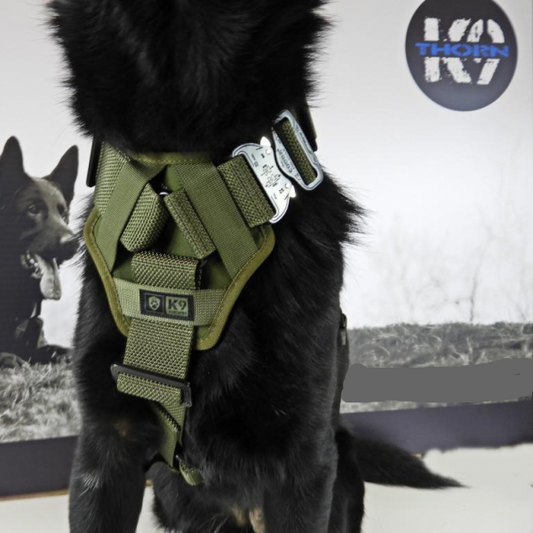 Szelki Delta (K9Thron) – idealne dopasowanie do każdego psa