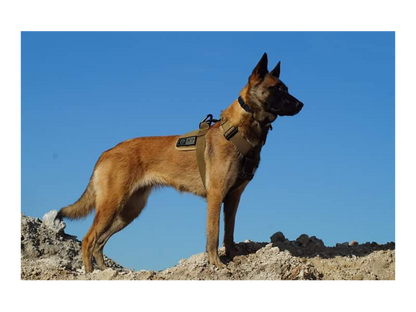 Szelki Delta (K9Thron) – idealne dopasowanie do każdego psa