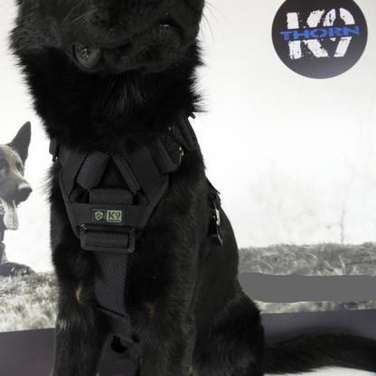 Szelki Delta (K9Thron) – idealne dopasowanie do każdego psa